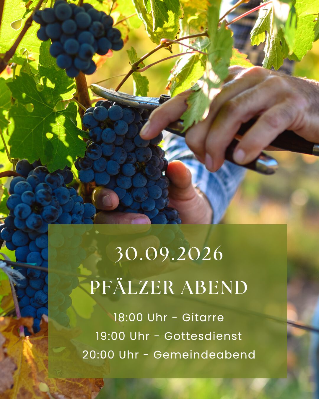 Pfälzer Abend